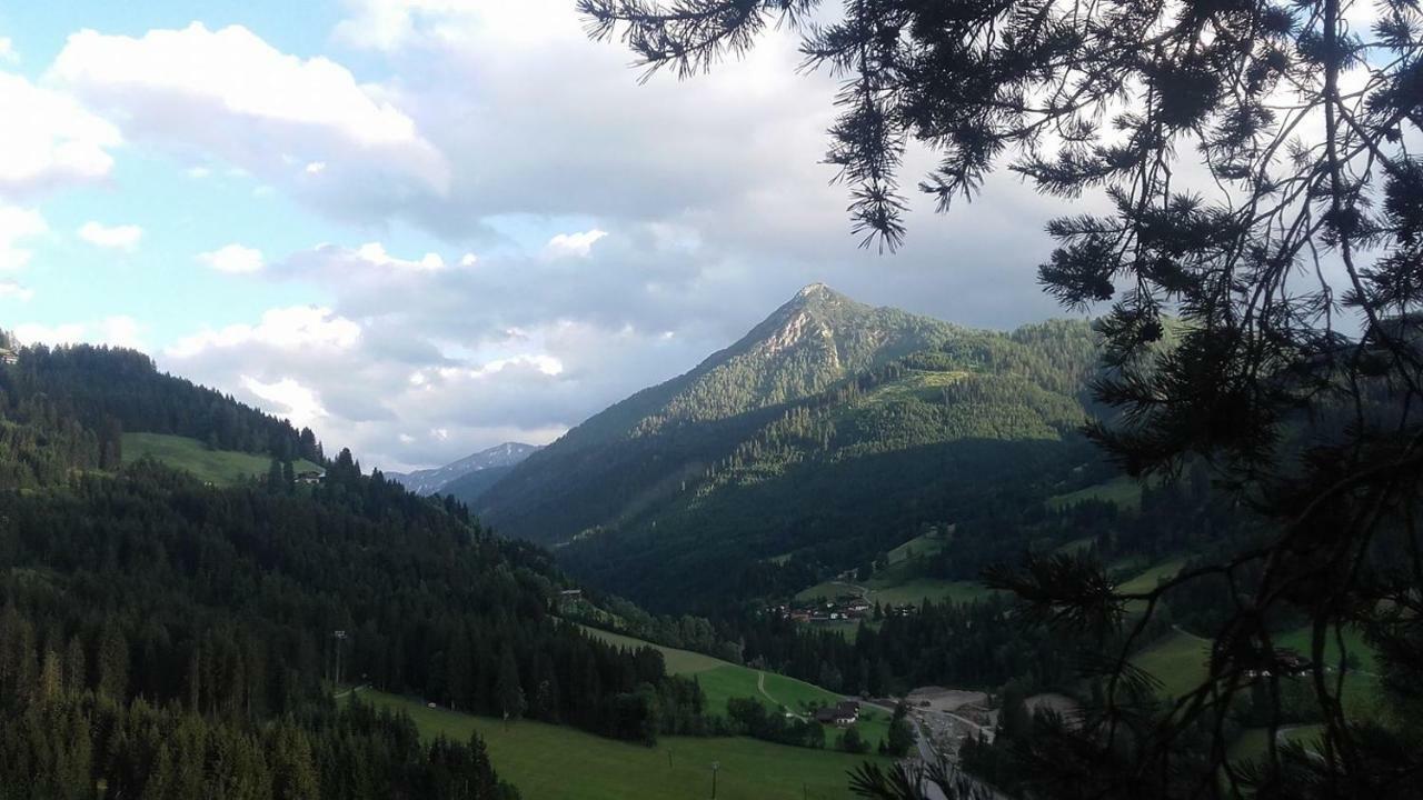 Appartement Bettina Mitterwallner Altenmarkt im Pongau Exteriér fotografie